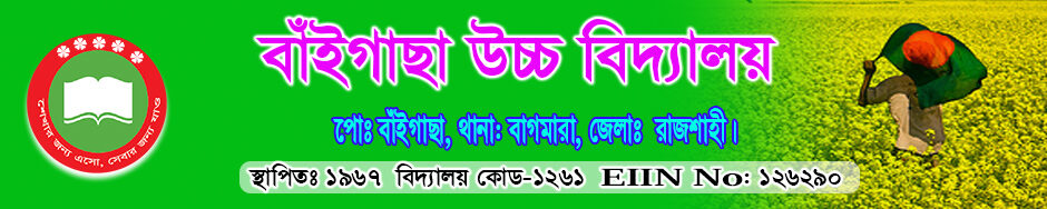 Baigacha High School